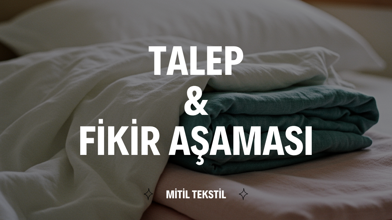 Fikir ve talep aşaması